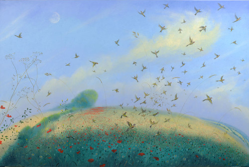 Goldfinches, Poppies and the Pale Midsummer Moon