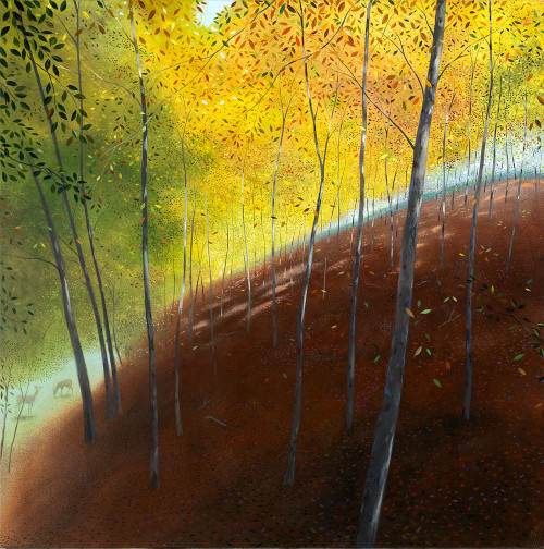 Autumn Light – Melbury Wood