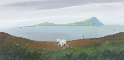 Pony near Clare Island