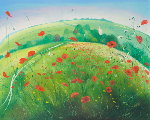 A Field of Poppies