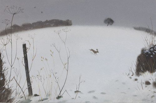 Hare in the Snow