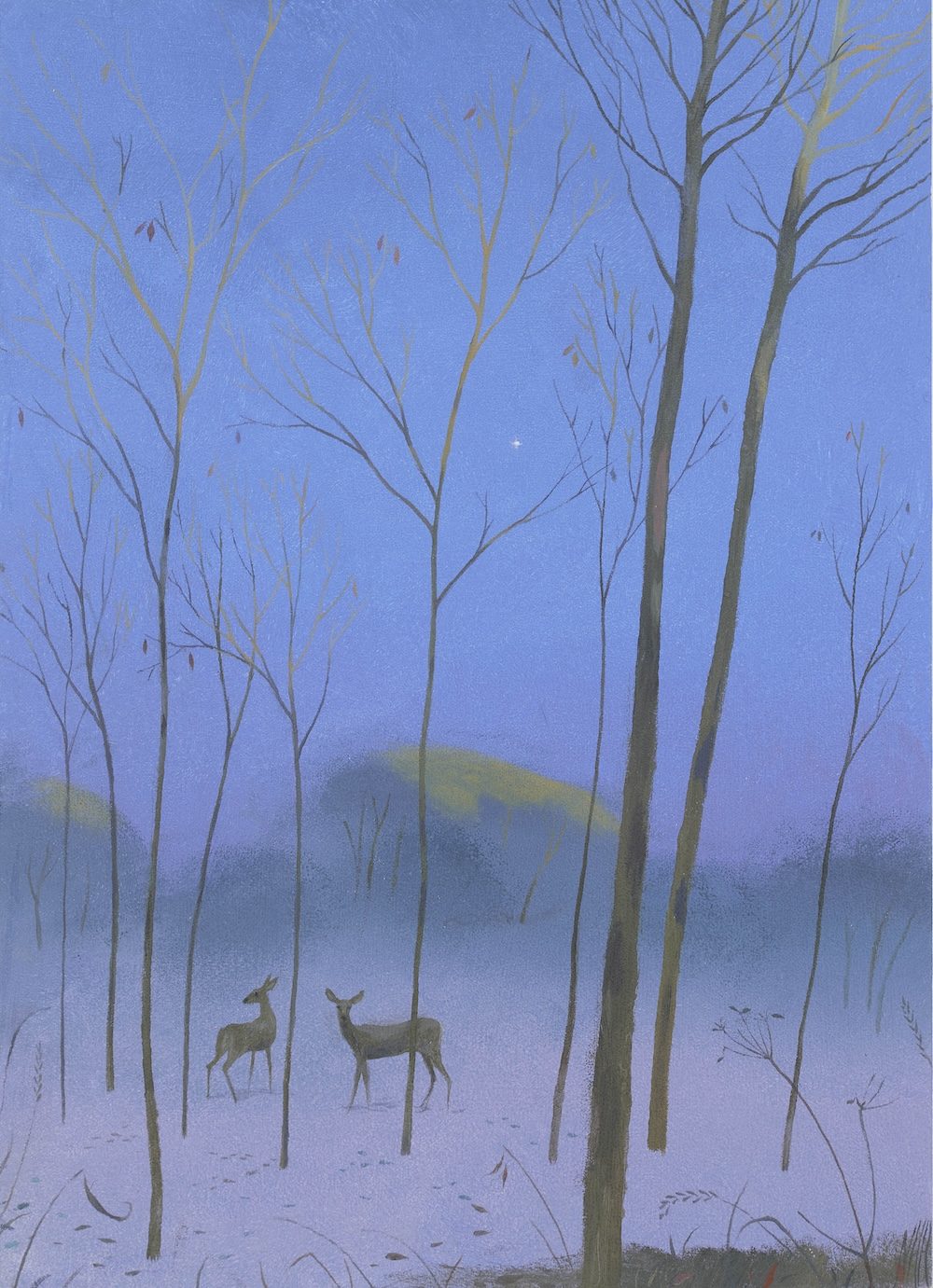 Deer and the Evening Star