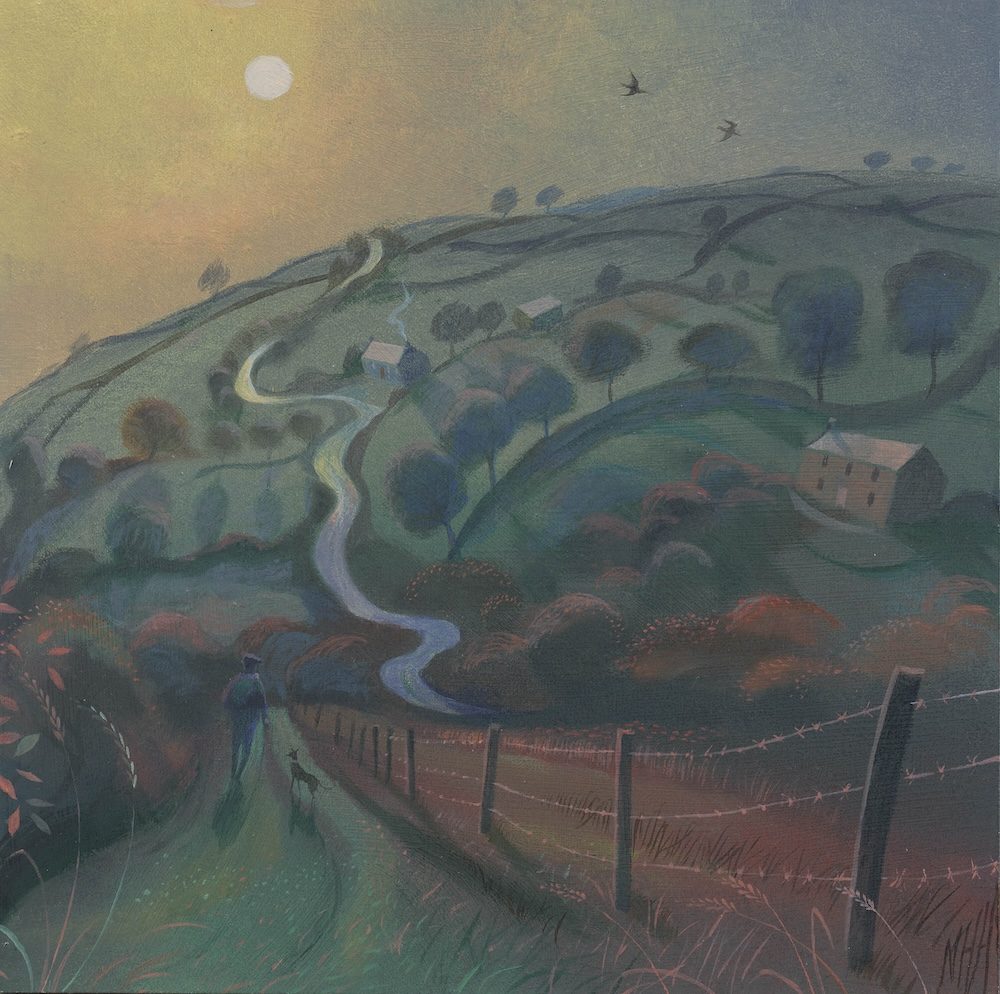 The Winding Pembrokeshire Road