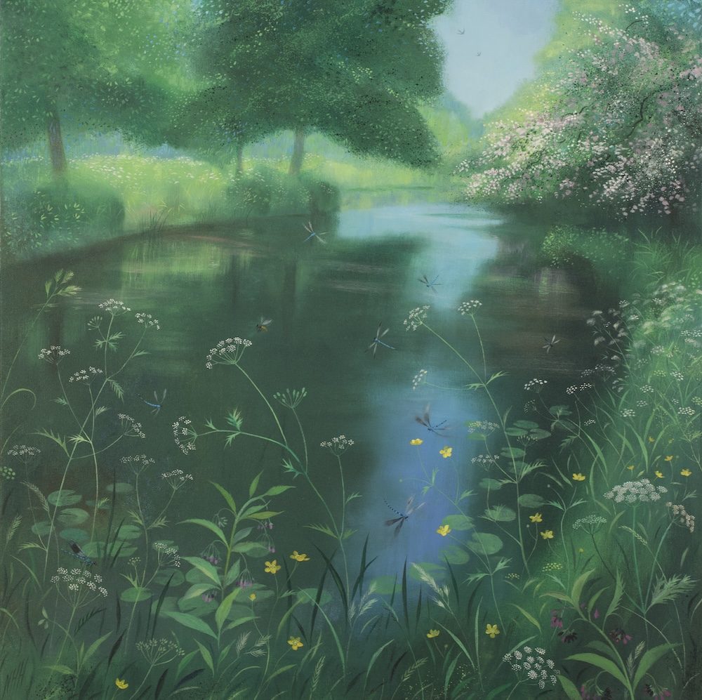 Deep Pools and Damselflies